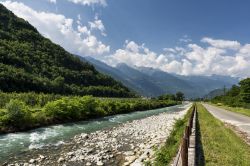 Il Sentiero della Valtellina, una pista ciclabile a fianco del fiume Adda: siamo tra i vigneti della zona di Tirano, in Lombardia