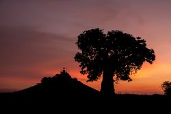 Il suggestivo faro di Dakar con alberi di Baobab fotografati al tramonto, Senegal.

