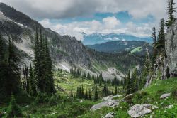 Il suggestivo National Park Revelstoke, Canada, con la foresta boreale e le montagne rocciose sullo sfondo.
