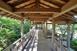 Il tradizionale giardino da Te Koko-en Nishi-Oyashiki-Ato  presso il Castello di Himeji in Giappone - © EQRoy / Shutterstock.com