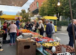 Il tradizionale mercato del sabato a Campi Bisenzio dove potete trovare frutta e verdura - © lissa.77 / Shutterstock.com