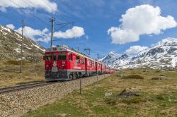 Il Trenino Rosso sulle montagne del Gruppo del Bernina in Svizzera, vicino a Pontresina - © fotisto-wim / Shutterstock.com