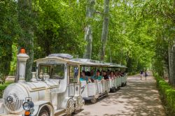 Il trenino turistico nel giardino del principe a Aranjuez, Spagna. Il paesaggio culturale di questa cittadina rivela il complesso intreccio fra natura e uomo. Nel 2001 è stato dichiarato ...