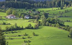 Il verde paesaggio della Val Ridanna in estate, Sud Tirolo (Italia)