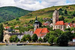 Il villaggio di Krems an der Donau immerso nei vigneti della valle della Wachau, Bassa Austria.
