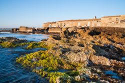 Il villaggio di pescatori di Marzamemi, Sicilia - Panorama sul borgo nato attorno all'anno mille quando gli arabi costruirono qui la tonnara che per molti secoli fu la principale dell'intera ...