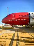 Il volo Roma-Oakland della compagnia Norwegian Airlines a destinazione in California (USA).
