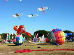 Il Vulandra Festival: aquiloni in mostra a Ferrara, Emilia-Romagna