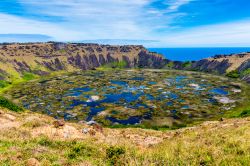 Il vulcano Rano Kau sull'isola di Pasqua, Cile, Sud America. In realtà si tratta di un lago che occupa il cratere di un vulcano pieno di canneti e fiori colorati - © 240203872 ...