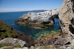 Il White Arch e una veduta di Rhoscolyn sull'isola di Holy a Anglesey, Galles, UK. Rhoscolyn è l'insediamento più a sud di Holy Island.

