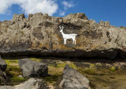 Il White Stag, un cervo bianco dipinto sulle rocce di Bamburgh Beach in Inghilterra - © coxy58 / Shutterstock.com