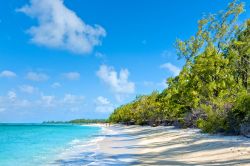 Panorama della spiaggia dell'isola dei Cervi, Mauritius - Fra i luoghi più incantevoli di Mauritius, quest'isola possiede uno straordinario panorama con grandi palme e acque trasparenti. ...