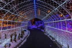 Illuminazione notturna a Kushiro, Giappone. Durante le festività natalizie, la cittadina si veste di luci e colori - © Distinctive Shots / Shutterstock.com