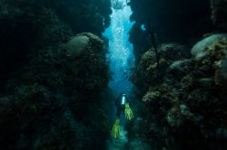 Immersioni dentro al Blu Hole del Belize, uno dei luoghi più spettacolari delle seconda barriera coralinna al mondo per estensione - © Pete Niesen / Shutterstock.com