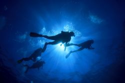 Immersioni tra i fondali dell'isola di Andros alle Bahamas