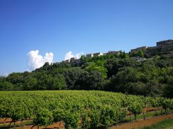 In sella alle due ruote si incontrano borgo autentici come Ménerbes 