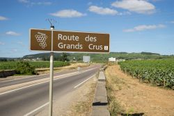 Indicazione della Strada del Grande Vino nei pressi di Beaune, Borgogna, Francia - © HUANG Zheng / Shutterstock.com