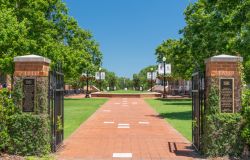 Ingresso al campus dell'Università dell'Alabama, Tuscaloosa, USA. Fondato nel 1831, questo centro di studi è noto anche con il nome di Crimson Tide  - © Ken Wolter ...