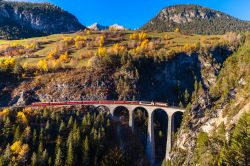 L'ingresso del Glacier Express nel tunnel del viadotto di Landwasser, Svizzera, con il suggestivo foliage autunnale degli alberi. Il primo Glacier Express partì il 25 giugno 1933 ...