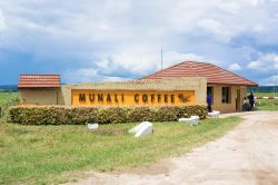 L'insegna all'ingresso della fattoria di caffé Munali nei pressi di Lusaka, Zambia. - © Mark52 / Shutterstock.com