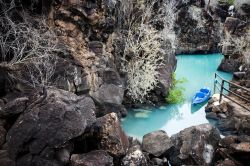 L'isola vulcanica di Santa Cruz alle Galapagos, la seconda per dimensioni dell'Ecuador, è famosa per i suoi tunnel di lava, le piscine d'acqua dolce  e la spiaggia di ...