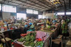 Interno del mercato centrale di Paramaribo, Suriname, con bancarelle di frutta e verdura - © Matyas Rehak / Shutterstock.com