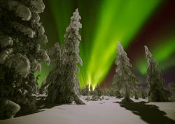 Tromso, Norvegia: la stagione migliore per ammirare l'aurra boreale è l'inverno