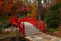 Iris Bridge (Ayamebashi) nei giardini dedicati a Sarah P. Duke alla Duke University, Carolina del Nord.
