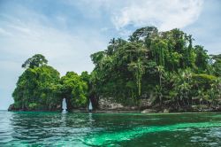 Island of Birds a Bocas del Toro, Panama. In questo territorio con roccia basaltica ricoperta di vegetazione tropicale trovano il loro habitat naturale numerose specie di uccelli.



