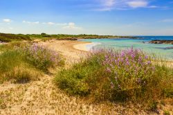 Isola della Fanciulla vicino a Torre Pali nel Salento in Puglia.
