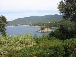 Isolotto della Paolina all'isola d'Elba, provincia di Livorno, Toscana. Famosa per l'isolotto dedicato alla sorella di Napoleone Bonaparte, la spiaggia della Paolina è caratterizzata ...