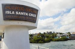 L'isola di Santa Cruz o Indefatigable è la maggiormente popolata dell'arcipelago della Galapagos. Qui si trova la città di Puerto Ayora ed il quartier generale del Parco ...