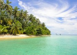 Isole caraibiche a Panama, Bocas del Toro. A mezz'ora di barca dall'isola di Colon si trova Isla Zapatilla, una delle più incontaminate e selvagge dell'arcipelago panamense. ...