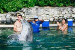 Istruttori interagiscono con i delfini a Freeport sull'isola di Grand Bahama. In questo parco acquatico si promuove l'educazione alla conservazione del mare e della sua fauna e flora ...