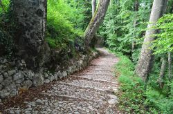 Itinerario nel bosco a Roncola in Lombardia, sulle prealpi della Provincia di Bergamo