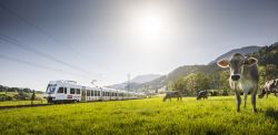Kambly Train, il treno tra i paesaggi dell'Emmental nel nord della Svizzera.