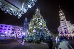 Il gigantesco albero di Natale che ogni anno viene allestito nella Piazza del Municipio di Kaunas (Lituania).

