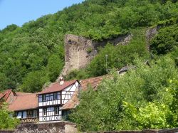 La cittadina di Kaysersberg, in Alsazia, è situata tra le colline de dipartimento dell'Alto Reno (Haut Rhin) - foto © Volker Rauch / Shutterstock.com