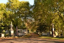 Kensal Green Cemetery a Londra (Inghilterra): è uno dei "magnifici sette" cimiteri di Londra. E' ispirato al celebre Père-Lachaise di Parigi.
