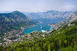 Kotor vista dalle montagne, Montenegro. Dall'alto dei monti che circondano questo territorio del Montenegro, la città di Cattaro, con le omonime Bocche, appare in tuttto il suo splendore ...