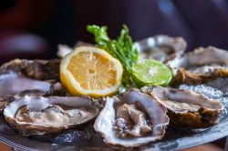 L'Oyster Festival di Ballylongford in Irlanda: l'economia di questo grazioso villaggio è legata alla pesca, soprattutto delle ostriche. A fine agosto si svolge questo festival ...