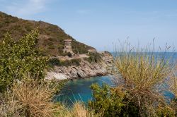La  Torre dell'Osse nel territorio di Cagnano, Corsica. Si tratta di uno dei simboli di questa bella località situata nella penisola di Cap Corse: i resti della torre genovese ...