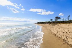 La bella spiaggia di Marina di Alberese in Toscana, Maremma