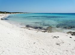 La bella spiaggia di Punta Prosciutto in Puglia. Siamo nel Salento, nel territorio del comune di Porto Cesareo - © Hydruntum - CC BY-SA 3.0, Wikipedia