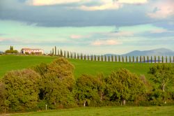 La campagna nei dintorni di Castiglione d'Orcia in provincia di Siena (Toscana) - © lauradibi / Shutterstock.com