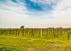 La campagna romagnola intorno a Pieve Cesato di Faenza