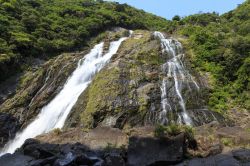 La cascata Ohko sull'isola di Yakushima, Giappone. Con il suo impressionnate salto di 88 metri, è una delle cento cascate più importanti del paese.

