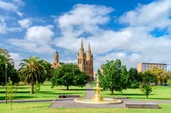 La cattedrale di San Pietro a Adelaide, Australia, vista attraverso i giardini Pennington, Australia.

