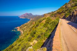 La celebre D81, la strada costiera che consente magnifiche vedute sul Golfo di Girolata nella  Corsica occidentale in Francia