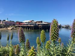 La celebre Trattoria Paluca a Monterey in California.